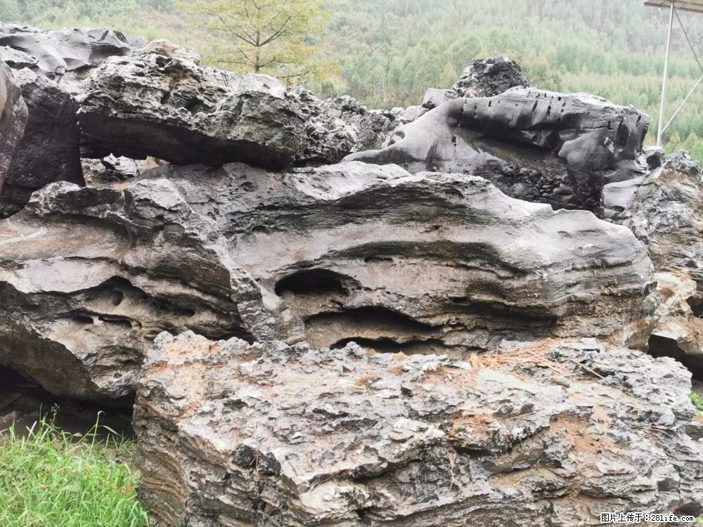 风景石、假山石大量有货,有需要的欢迎联系 - 新手上路 - 吐鲁番生活社区 - 吐鲁番28生活网 tlf.28life.com