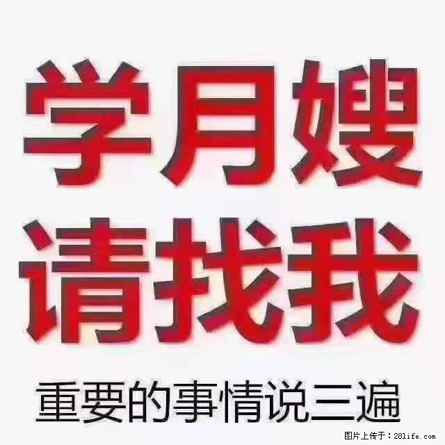为什么要学习月嫂,育婴师? - 新手上路 - 吐鲁番生活社区 - 吐鲁番28生活网 tlf.28life.com