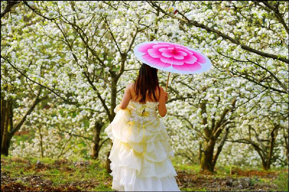 【春天,广西桂林灌阳县向您发出邀请!】我们在灌阳看梨花 - 游山玩水 - 吐鲁番生活社区 - 吐鲁番28生活网 tlf.28life.com