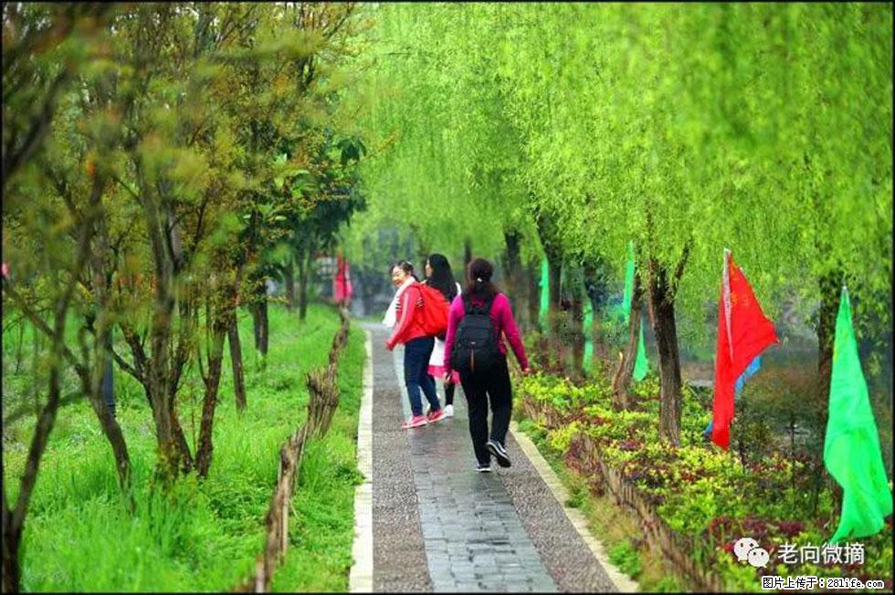 【春天,广西桂林灌阳县向您发出邀请!】江口老街又逢春 - 游山玩水 - 吐鲁番生活社区 - 吐鲁番28生活网 tlf.28life.com