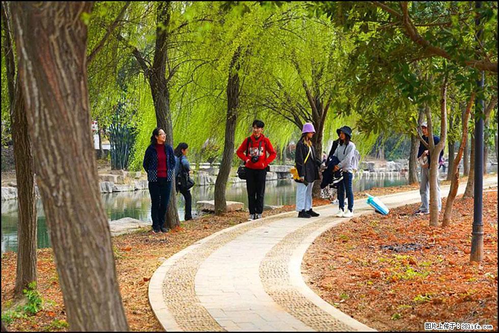 【春天,广西桂林灌阳县向您发出邀请!】江口老街又逢春 - 游山玩水 - 吐鲁番生活社区 - 吐鲁番28生活网 tlf.28life.com