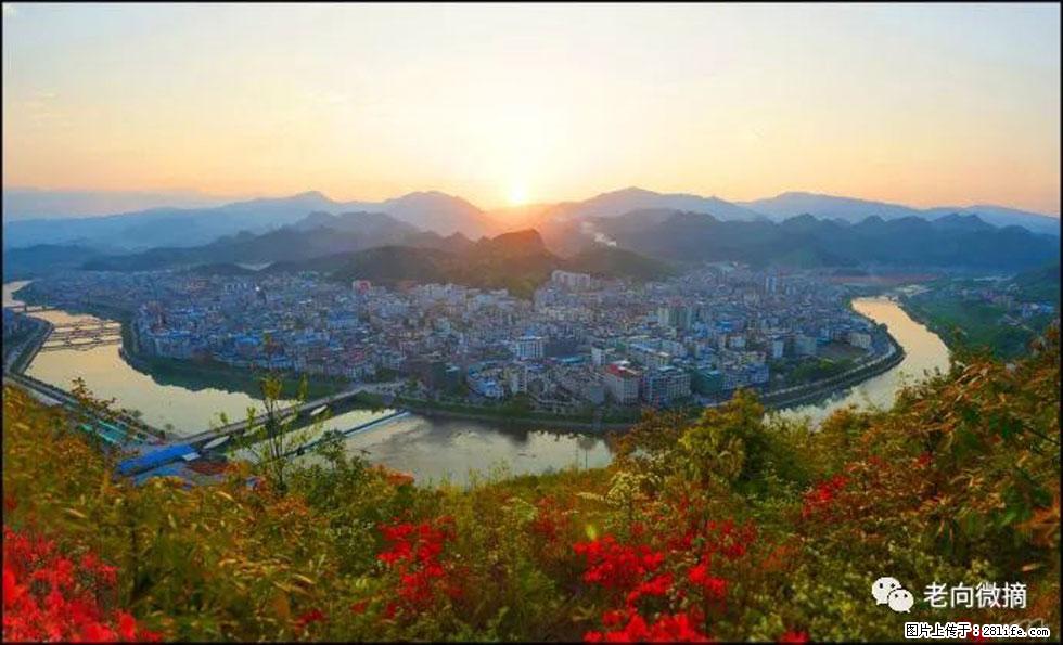 【春天,广西桂林灌阳县向您发出邀请!】登麒麟山,相约映山红 - 游山玩水 - 吐鲁番生活社区 - 吐鲁番28生活网 tlf.28life.com