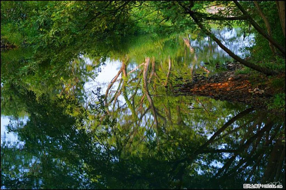 【春天,广西桂林灌阳县向您发出邀请!】熊家寨湿地公园 - 游山玩水 - 吐鲁番生活社区 - 吐鲁番28生活网 tlf.28life.com