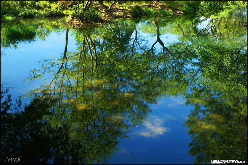 【春天,广西桂林灌阳县向您发出邀请!】熊家寨湿地公园 - 游山玩水 - 吐鲁番生活社区 - 吐鲁番28生活网 tlf.28life.com