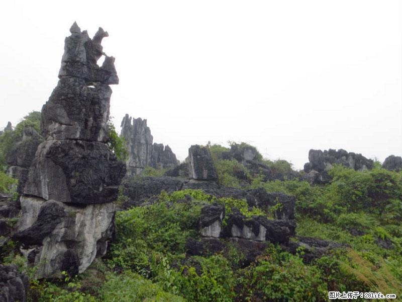 桂林旅游名城景点:灌阳文市石林 - 游山玩水 - 吐鲁番生活社区 - 吐鲁番28生活网 tlf.28life.com