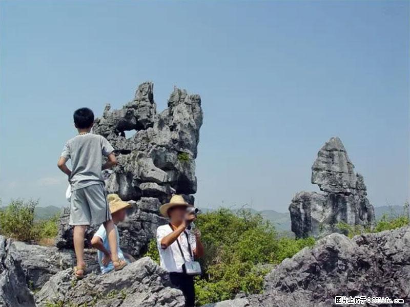 桂林旅游名城景点:灌阳文市石林 - 游山玩水 - 吐鲁番生活社区 - 吐鲁番28生活网 tlf.28life.com