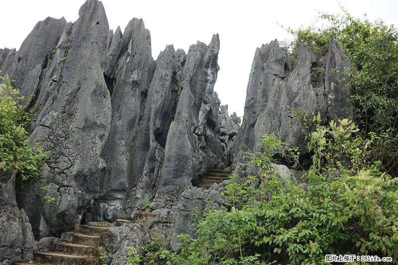 桂林旅游名城景点:灌阳文市石林 - 游山玩水 - 吐鲁番生活社区 - 吐鲁番28生活网 tlf.28life.com