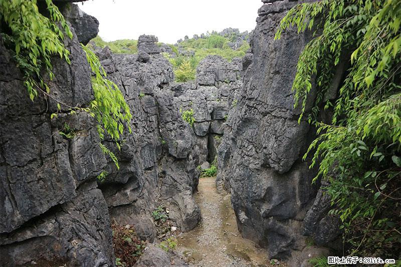 桂林旅游名城景点:灌阳文市石林 - 游山玩水 - 吐鲁番生活社区 - 吐鲁番28生活网 tlf.28life.com
