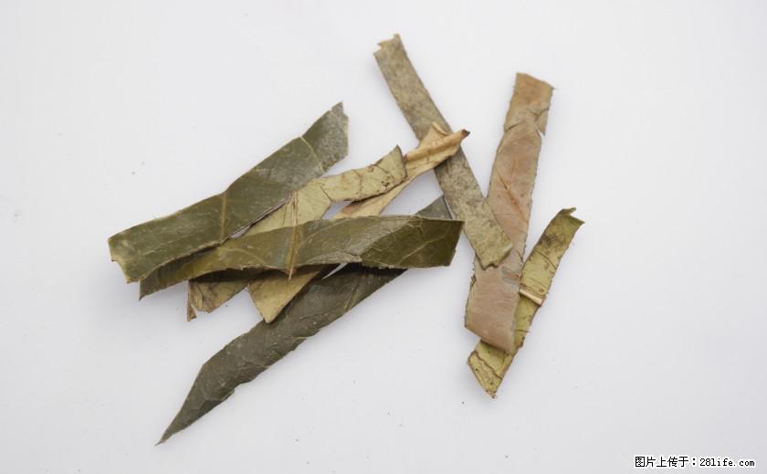 苦丁茶有哪些功效和作用 - 生活百科 - 吐鲁番生活社区 - 吐鲁番28生活网 tlf.28life.com