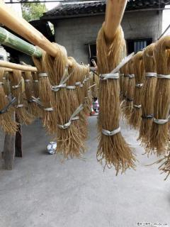【灌阳正宗红薯粉】美女家里自己做的,干净卫生,假一赔十,价格合理,抢购电话:13737312895 - 吐鲁番28生活网 tlf.28life.com