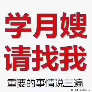 为什么要学习月嫂,育婴师? - 吐鲁番28生活网 tlf.28life.com