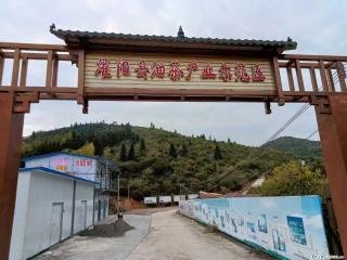 【灌阳县油茶产业示范区】一个有着充实的精神生活的人,对待身外之物自会有一种淡泊的态度 - 吐鲁番28生活网 tlf.28life.com