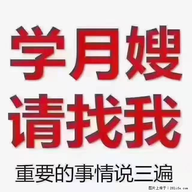【招聘】月嫂,上海徐汇区 - 职场交流 - 吐鲁番生活社区 - 吐鲁番28生活网 tlf.28life.com