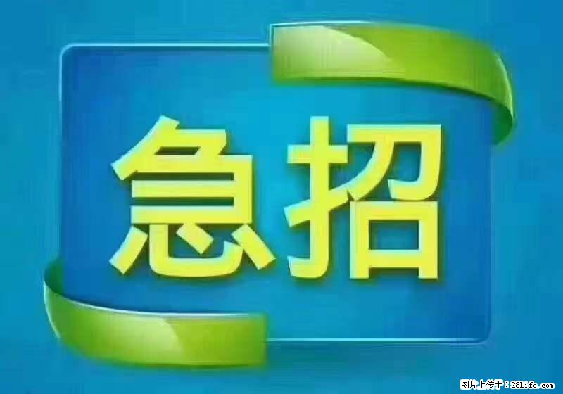 招出纳8000元/月,无证可以,要有相关经验,上海五险一金,包住,包工作餐,做六休一。 - 职场交流 - 吐鲁番生活社区 - 吐鲁番28生活网 tlf.28life.com