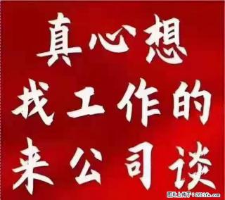 【上海】国企,医院招两名男保安,55岁以下,身高1.7米以上,无犯罪记录不良嗜好 - 吐鲁番28生活网 tlf.28life.com