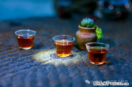 时间果百年古树2025年春红茶 - 购物交流 - 吐鲁番生活社区 - 吐鲁番28生活网 tlf.28life.com