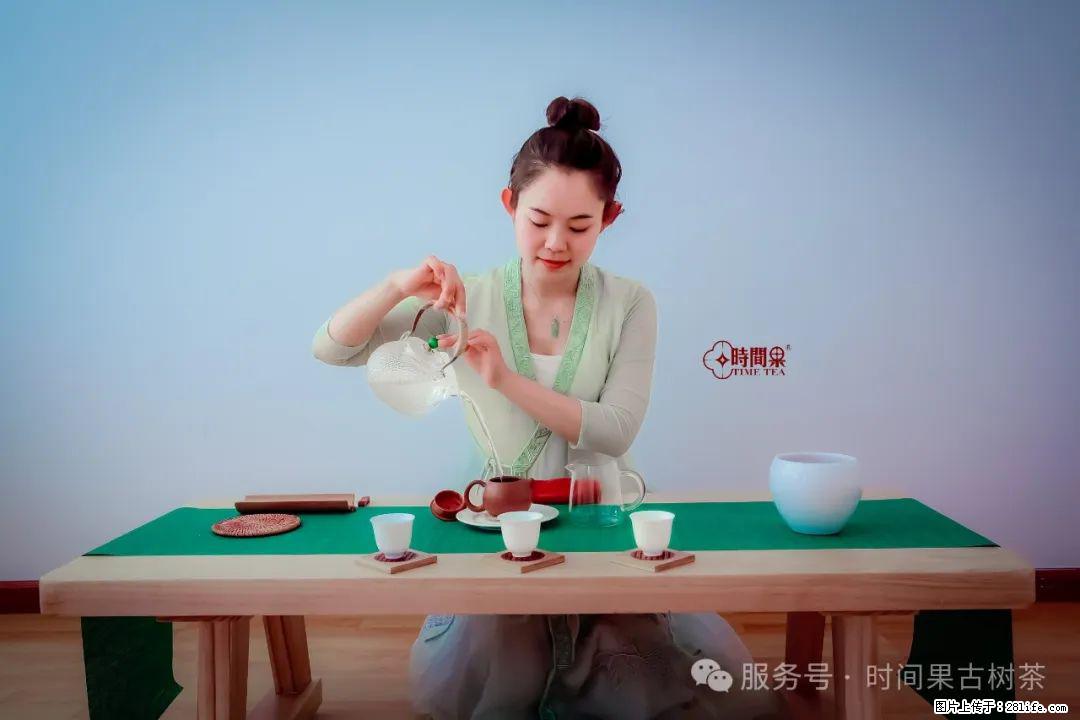 时间果百年古树龙珠普洱生茶 - 购物交流 - 吐鲁番生活社区 - 吐鲁番28生活网 tlf.28life.com