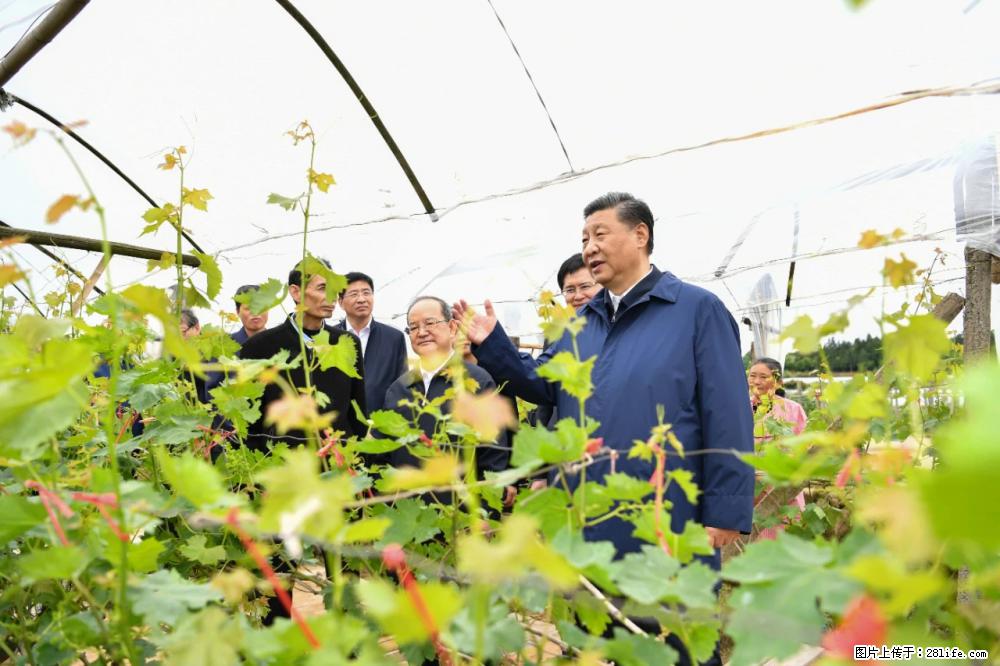 习近平赴广西考察调研 - 吐鲁番生活资讯 - 吐鲁番28生活网 tlf.28life.com