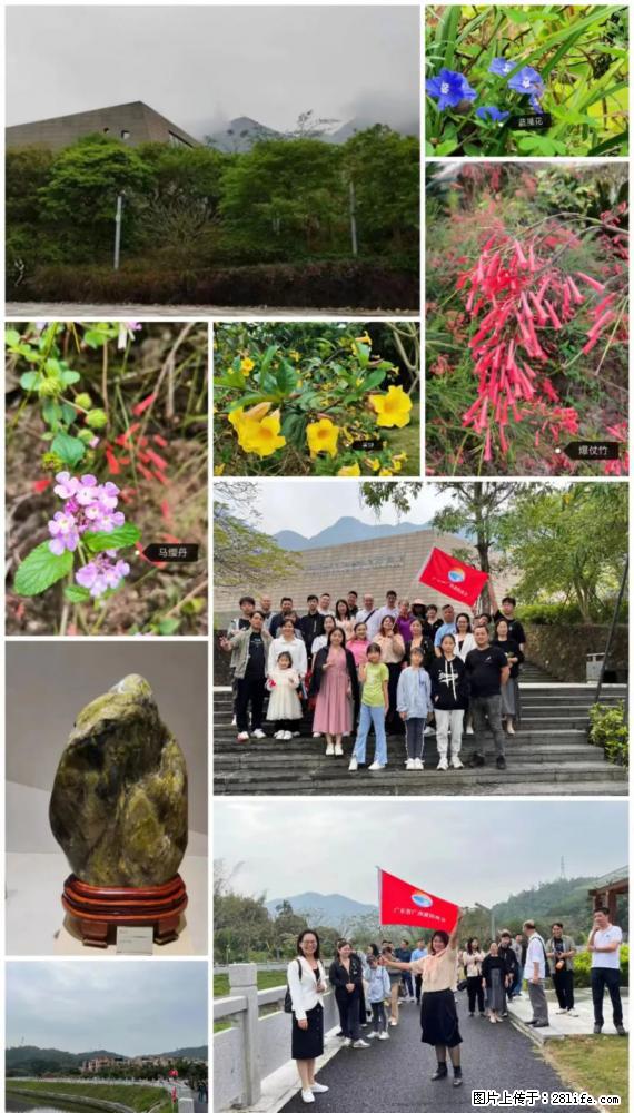 “粤灌文化 美好生活”油茶文化主题活动在广东深圳成功举办 - 吐鲁番生活资讯 - 吐鲁番28生活网 tlf.28life.com