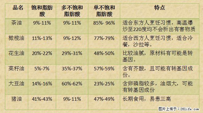 揭秘茶油的5大核心营养成分!被称为人体健康的“守护盾”! - 吐鲁番生活资讯 - 吐鲁番28生活网 tlf.28life.com