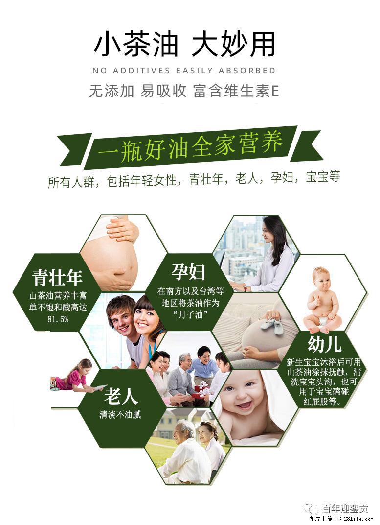 世界没有真相,只有认知,最好的食用油是中国的山茶油! - 吐鲁番生活资讯 - 吐鲁番28生活网 tlf.28life.com