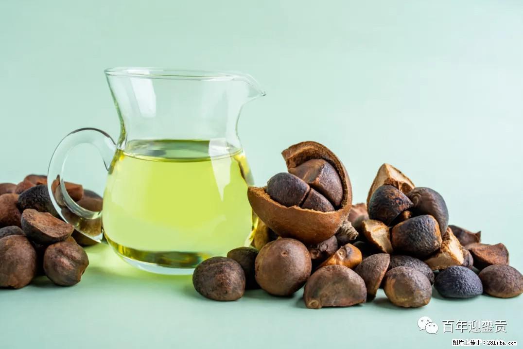 世界没有真相，只有认知，最好的食用油是中国的山茶油！ - 吐鲁番生活资讯 - 吐鲁番28生活网 tlf.28life.com