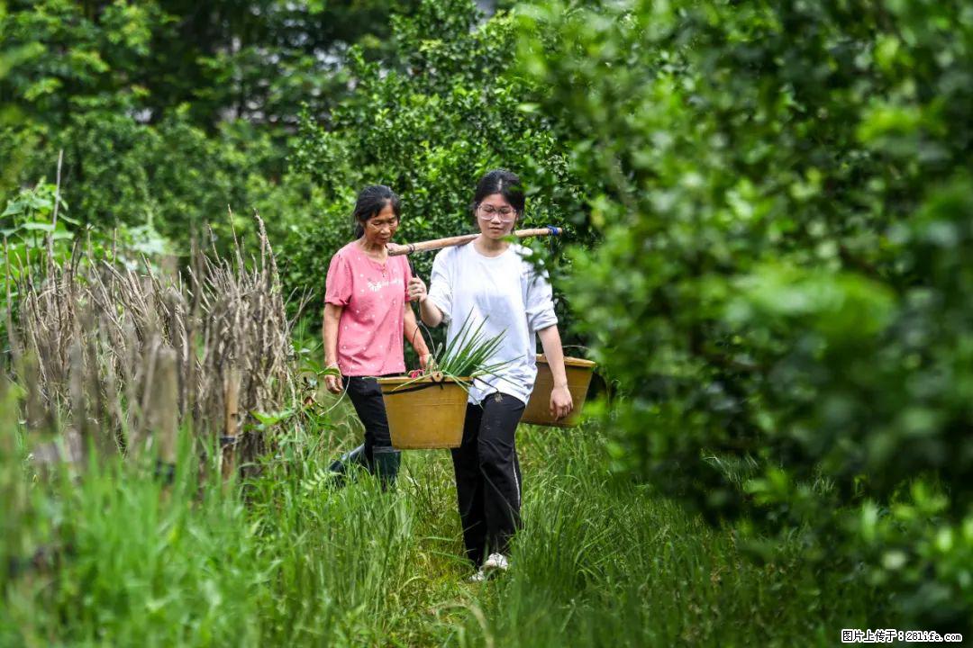 全网追的“扁担女孩”,找了一份暑假工,时薪12元 - 吐鲁番生活资讯 - 吐鲁番28生活网 tlf.28life.com