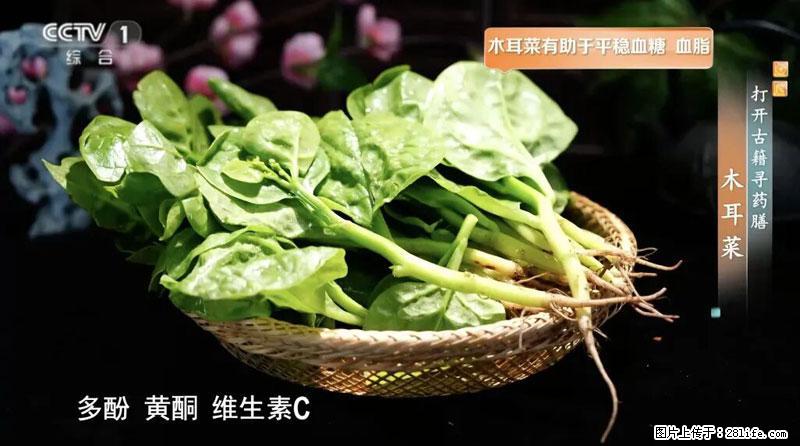 比牛奶补钙还厉害!凉血解毒、稳血糖...这菜冬天必吃,很多人却当草 - 吐鲁番生活资讯 - 吐鲁番28生活网 tlf.28life.com