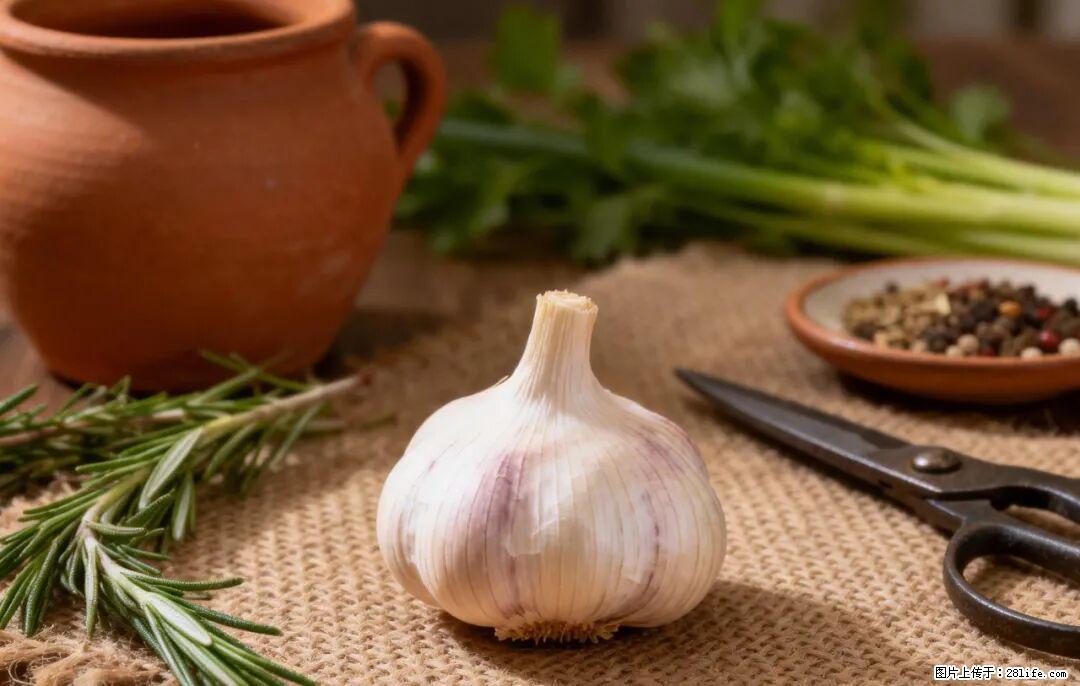 关于大蒜，除了“天然抗生素”，这4个谣言更该警惕! - 吐鲁番生活资讯 - 吐鲁番28生活网 tlf.28life.com