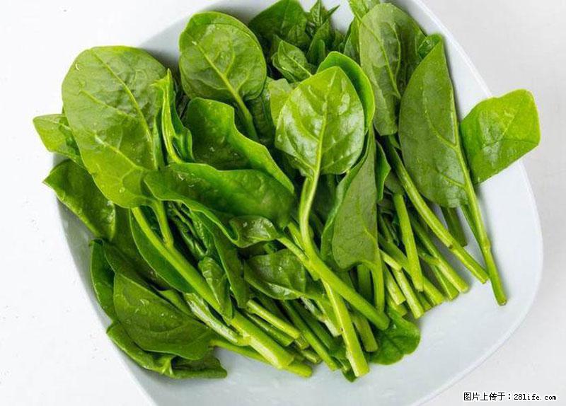 这些蔬菜是“天然钙片”，这6种被医生重点推荐 - 吐鲁番生活资讯 - 吐鲁番28生活网 tlf.28life.com