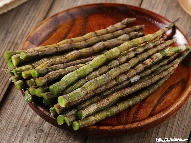 铁皮石斛的作用与功能主治 - 吐鲁番生活资讯 - 吐鲁番28生活网 tlf.28life.com